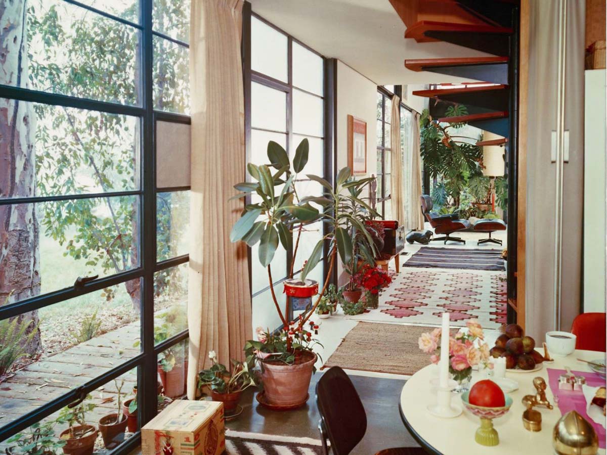 Inspired by Eames: create a curvy, cosier, greener home