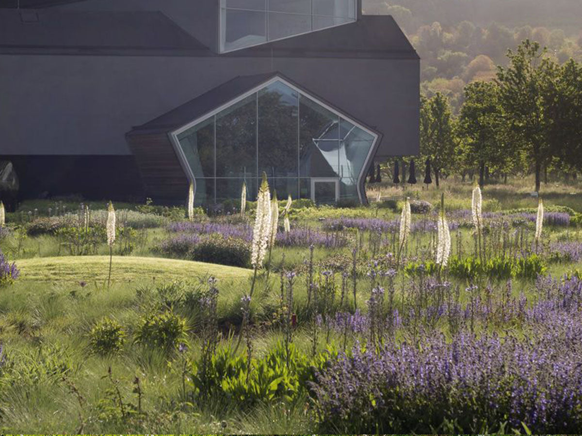 Time to breathe: 7 modern gardens to inspire you