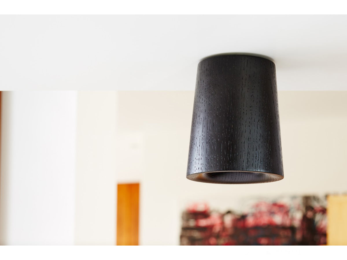 Terence Woodgate Solid Cone Ceiling Light