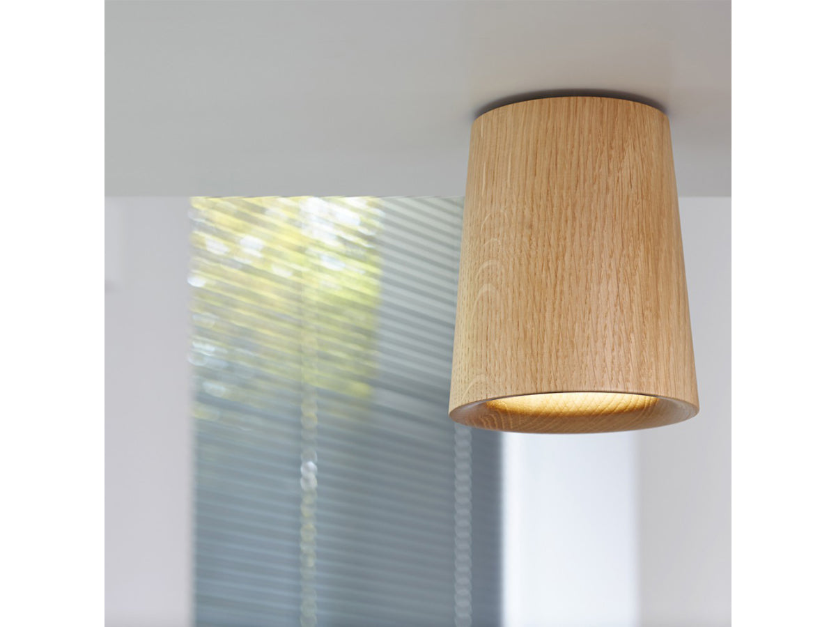 Terence Woodgate Solid Cone Ceiling Light