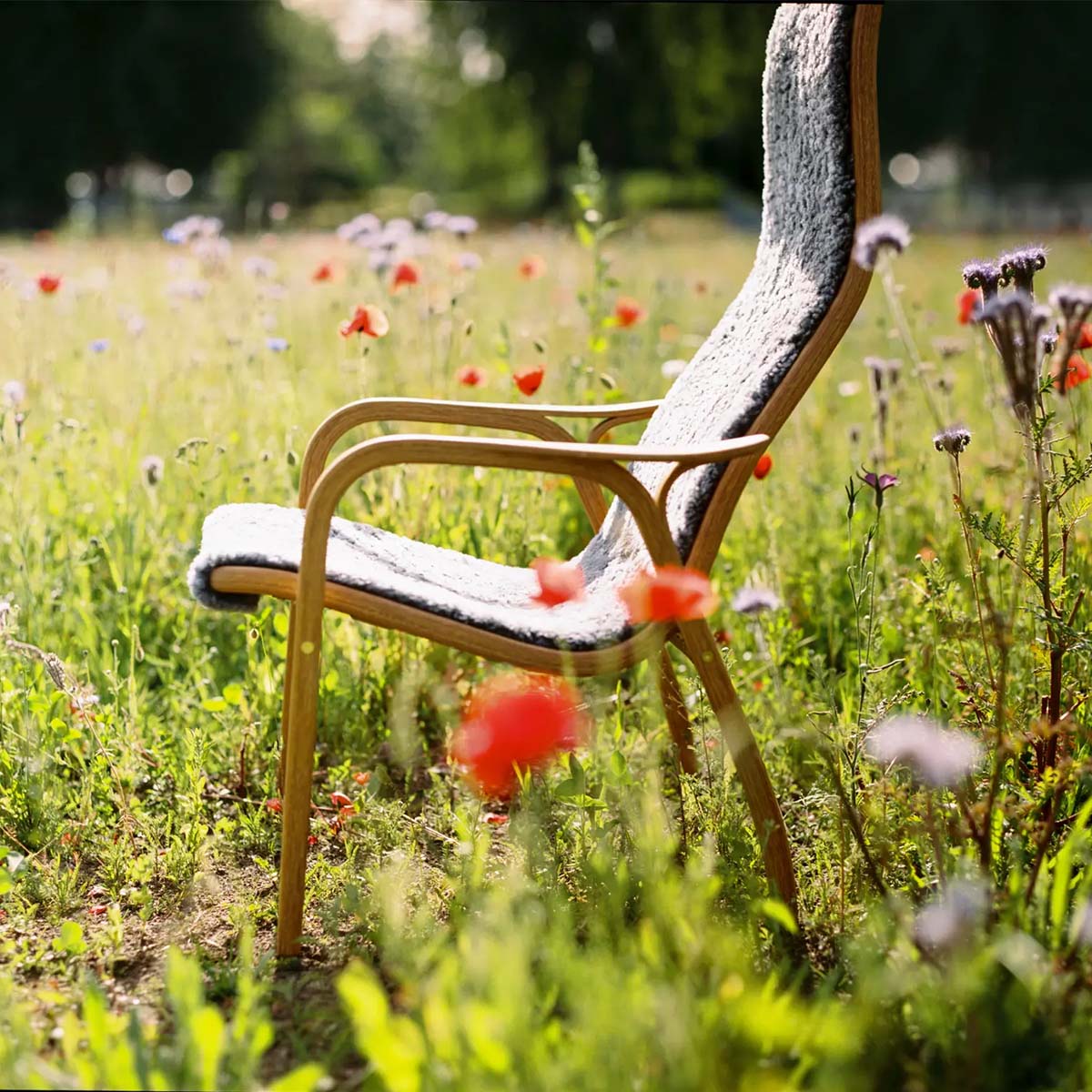 Lamino chair in field