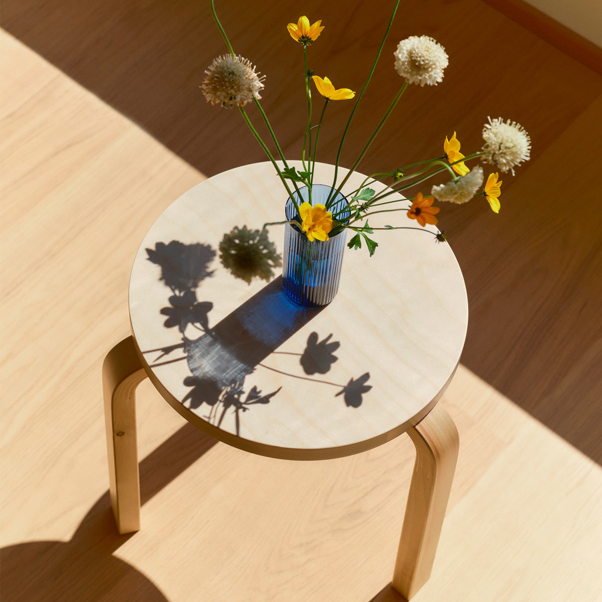 stool 60 wild birch