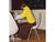Fritz Hansen Drop Chair