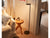 Flos Oblique Floor Lamp